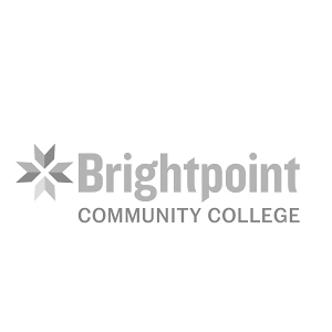 Bright Point 300